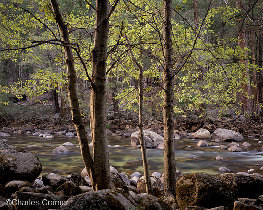 Fine photographic print by Charles Cramer, at Sun to Moon Gallery, Dallas, TX